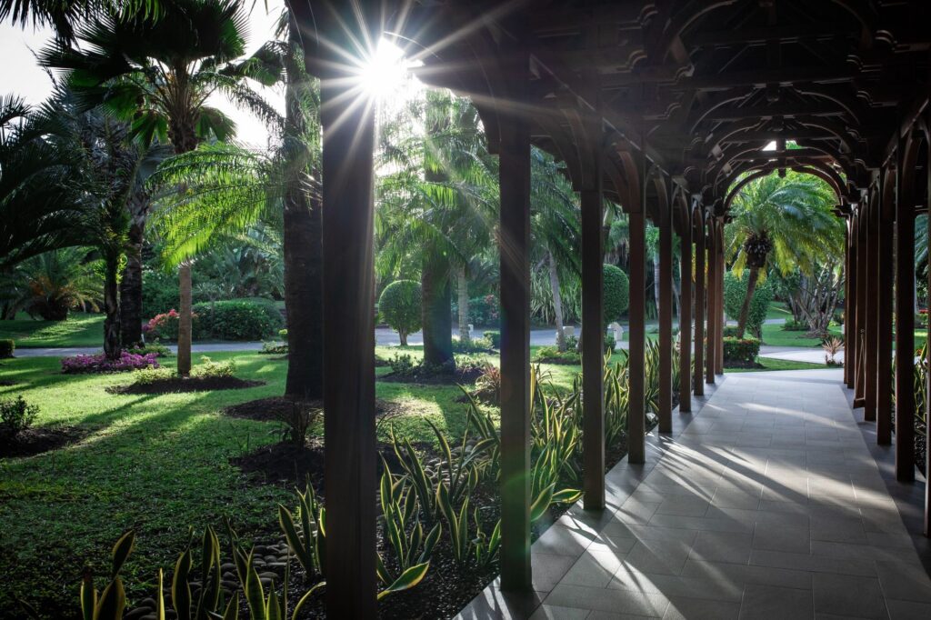 63c66b2aa9bbed67a6ee2bee__pd25082w2560h2560rframe_cff-p-2000