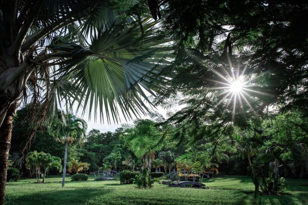 63c66b2fb50c402e6ffa94f8__pd25080w2560h2560rframe_a73-p-2000