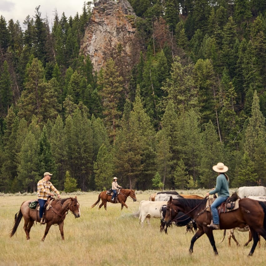 Corporate-Groups_Block-2