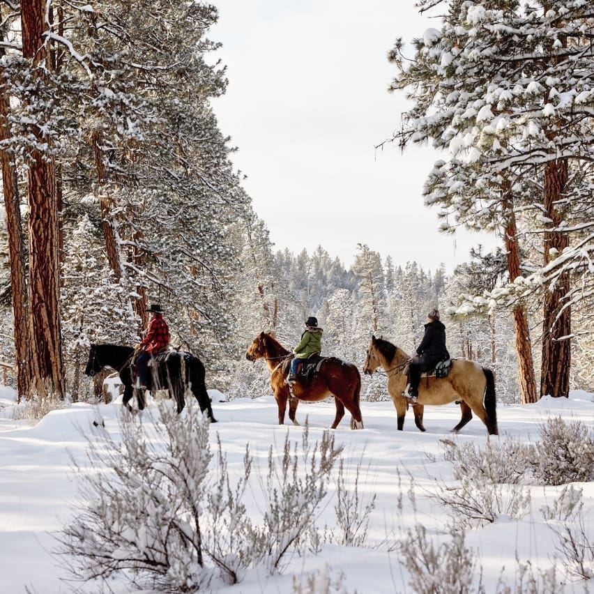 Experience_Block-5-1