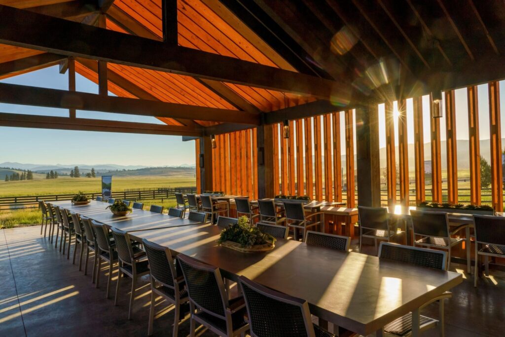 Shed-Gallery-2-scaled